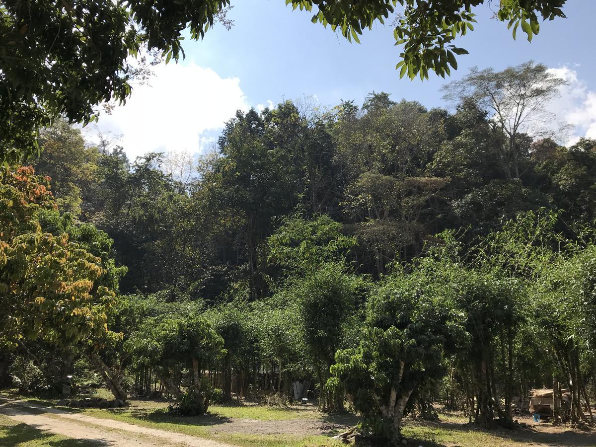 สวนฉัน Igarden Otel Ban Pang Champi Dış mekan fotoğraf